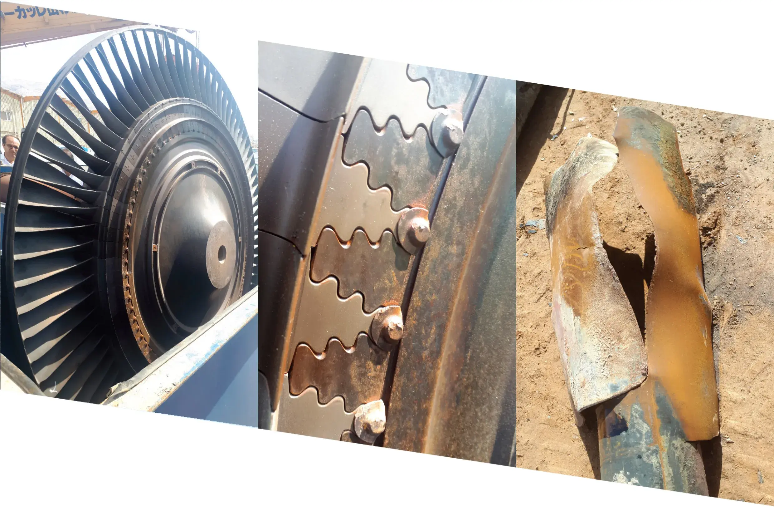 Company Introduction